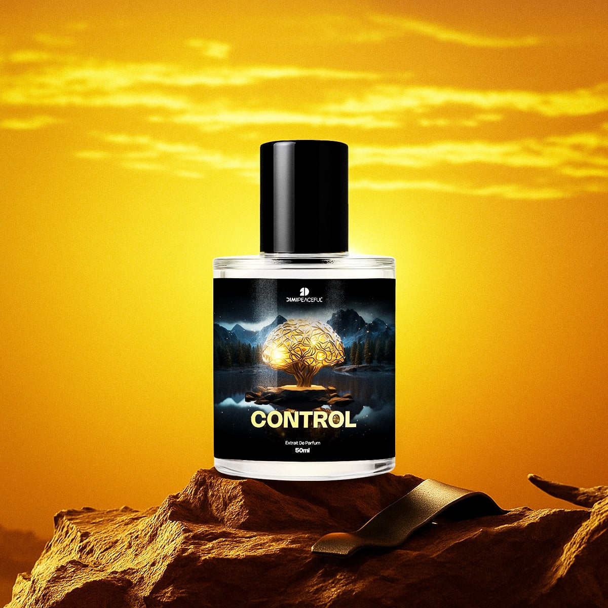 Control Inspired by Legend Spirit